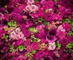 Fondos de pantalla de rosas. Fotos De Fondo De Pantalla De Flores De Stock Fondo De Pantalla De Flores Imagenes Libres De Derechos Depositphotos