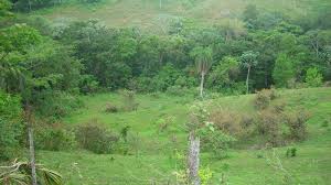 Plots for Sale in Villa Altagracia