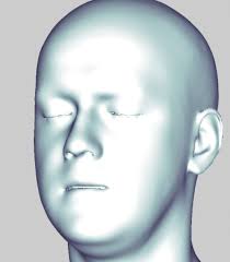 Supplementary Material for Stroke Transfer: Example-based Synthesis of  Animatable Stroke Styles