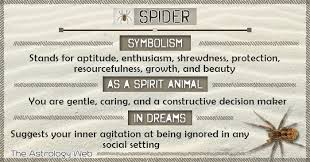 Sometimes it is a sign of disease with a fatal. Spider Meaning And Symbolism The Astrology Web