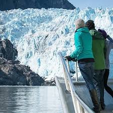 2024 Kenai Fjords and Resurrection Bay Half-Day Wildlife Cruise (Seward)