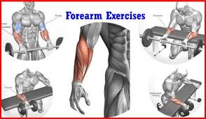 Pin On Exercise