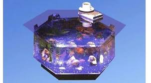 To aid make your buying process easier we headed out and also researched these tables. 9 Aquarium Coffee Table Tips Ideas For The Living Room Decor Or Design