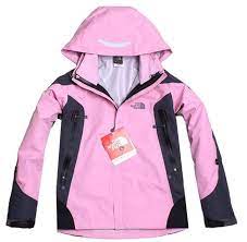 Cheap Women North Face Gore Tex Outerwear Jacket Pink Uk Http Www Outdoorgeargals Com North Face Triclimate Jacket North Face Outfits North Face Jacket