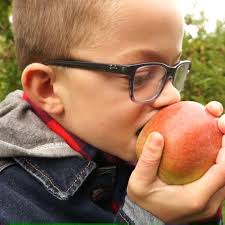 Port Maitland is known for it's amazing white sandy beach, but be sure to  check out these other unique finds