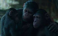 After the apes suffer unimaginable losses, caesar wrestles with his darker instincts and begins his other in an epic battle that will determine the fate of both their species and the future of the planet. 98 Planet Of The Apes Trilogy Ideas Planet Of The Apes Apes Dawn Of The Planet