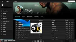 How To Transfer Tidal To Musicbee Mp3, aac, m4a, mpc, ogg, flac, alac, ape, opus, tak, wavpack, wma, wav, midi, mod, umx, xm. how to transfer tidal to musicbee
