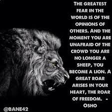 I have the heart of a lion, and the circulatory system of a lamb. Like A Strong Lion Quotes Quotesgram