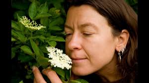 Eternal Forest Conversation with Rachel Corby