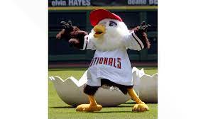 They're welcoming to children and. Mascot For Washington Nationals What Is It Wusa9 Com