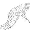Here are some of the colouring pages for adults that i've shared on crafts on sea. 1