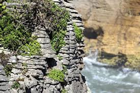 We did not find results for: Punakaiki Pancake Rocks And Blowholes New Zealand West Coast