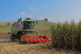 Wir zeigen ihnen für die nächsten jahre alle termine, orte und details zur. Wann Ist Maisernte So Geniessen Sie Das Getreide Saisonal