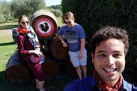 Small-Group Half-Day Tour of Chianti from Siena 2025