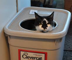 A best cat litter box is an absolute need of a house where there are cats. Siteground System Page Not Active Rv Pet Rv Cat Litter Box