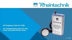 How to detect sheep goats estrous cycle signs? Rheintechnik Hk Calf Pullers And Pregnancy Testing For Professionals In Animal Breeding