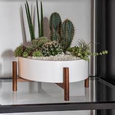 Painting a plant holder, building decorative pieces and arranging a flower bouquet are just a few examples of how to make generic indoor plants your own. 101 Best Plant Stands For Indoors And Outdoors In 2021