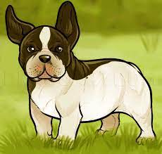 It's a simple bulldog outline tutorial for beg. How To Draw A French Bulldog French Bulldog Step By Step Drawing Guide By Dawn Dragoart Com