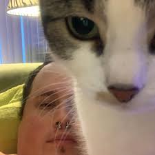 Deciding between a 500 and 650 bike model