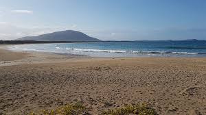 Check spelling or type a new query. Diamond Head Campground Nsw