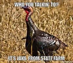 Perfect sup bebola ikan cendawan shitake#fayekusairi#cendawan. 11 Turkey Memes That Will Get You Ready To Blast Those Birds