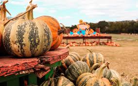 Livability helps people find their perfect places to live, and we've got everything you need to know to decide if moving to marble falls, tx is right for you. Sweet Berry Farm In Marble Falls Tx Live Love Local