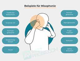 Misophonie | Hass auf Geräusche | Tipps + Infos