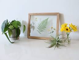 Separate the flowers into bunches of three, and tie them together with a rubber band. Framedflorals Photo By Lacie R Z Porta Flower Frame How To Preserve Flowers Pressed Flowers