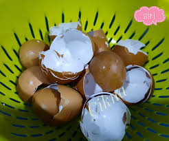 Kita boleh gunakan bahan dari dapu.r sebagai bahan utama baja cecair yang 5. Tak Payah Bazir Duit Ini Cara Buat Baja Organik Dari Kulit Telur Bantu Suburkan Tanah Jimat Belanja Keluarga