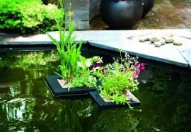 Schwimmende Pflanzinsel Pflanzen Gartenteich Gestalten Und Schwimmende Insel