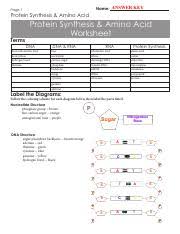 C a u g c g c a u a u g g c u g › get more: Chapter 6 Review Protein Synthesis Answer Key Pdf Name Answer Key Page 1 Protein Synthesis Amino Acid Protein Synthesis Amino Acid Worksheet Terms Dna Course Hero