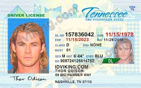 The concept behind the vertical design is to more easily and effectively identify those under 21 years old. Tennessee Tn Drivers License Psd Template Download Idviking Best Scannable Fake Ids
