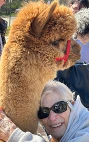 Lois V. (Peggy) Ingle, age 92, of Hazen, went to be with the Lord