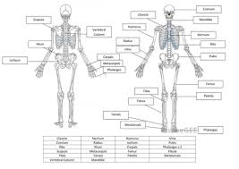 32 Edu Science Ideas Homeschool Science Science Teaching Science