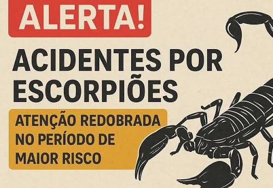 Notícia - Alerta! Acidentes por Escorpiões: atenção redobrada no período de maior risco - Prefeitura Municipal de Duartina