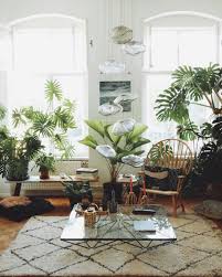 Plants l interior l diy. A Comprehensive Guide For Plant Lovers In Berlin Iheartberlin De