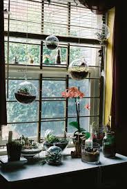 Window Garden Window Plants Succulents Indoor Apartment Garden
