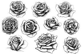 10 rose illustrations by bioworkz on creativemarket realistic rose tattoo rose illustration tattoos
