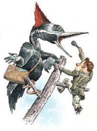 Look Homeward, Pecker
