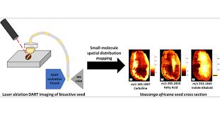 Image result for Voacanga chalotiana