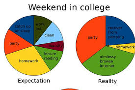 college explained perfectly in pie charts