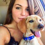 Alison Denney's Instagram, Twitter & Facebook