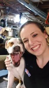 Wishing you all a great night. Is this not the cutest face? Then a Magpie  showed up. We were just chilling in Bozeman at our hotel. They just made my  little heart