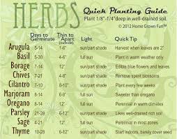 herb planting chart home grown fun