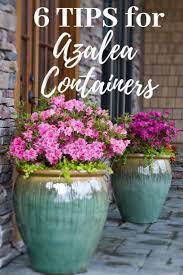 Your Porch Is A Canvas Garden Design With Azalea Containers Azaleas Landscaping Azaleas Azaleas Garden