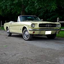 Image result for Springtime Yellow 1965 Mustang