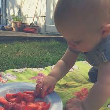 Baby Led Weaning Kein Brei Gesund Mutter Magazin