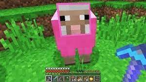 I Found A Pink Sheep In Minecraft Very Rare Youtube