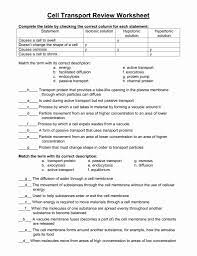 Transport In Cells Worksheet Awesome Graphic Organizer For Cell Transport Systems By Learning Chessmus Cell Transport Cell Membrane Transport Cells Worksheet