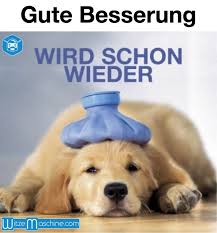 Gute Besserung Kranker Hund Funny Dog Gute Besserung Gute Besserung Lustig Gute Besserung Spruche